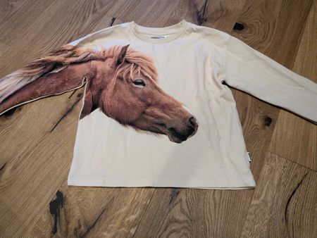 Langarmshirt / Langarmpulli beige mit Pferdemotiv Grösse 122