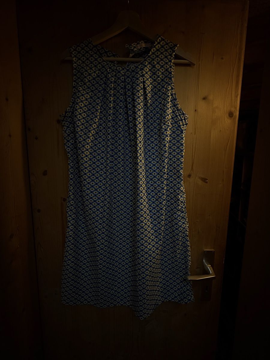 Kleider: Seidenkleid von Precchio – Gebraucht aus Donat von troja007