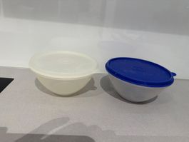 Tupperware Allegra Schüsselchen, 2 Stk., Frühling!