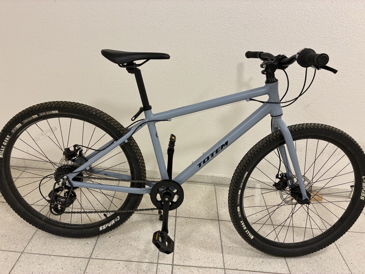 Totem Biciclette: Selten gebrauchtes Totem Joyride 26 Velo – Usato da Dinhard venduto da bliggi12
