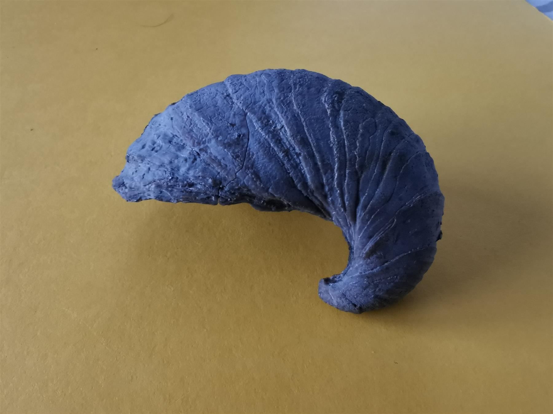 Fossili: Gryphaea arcuata als Geschenk – Usato da Olten venduto da smiples 4