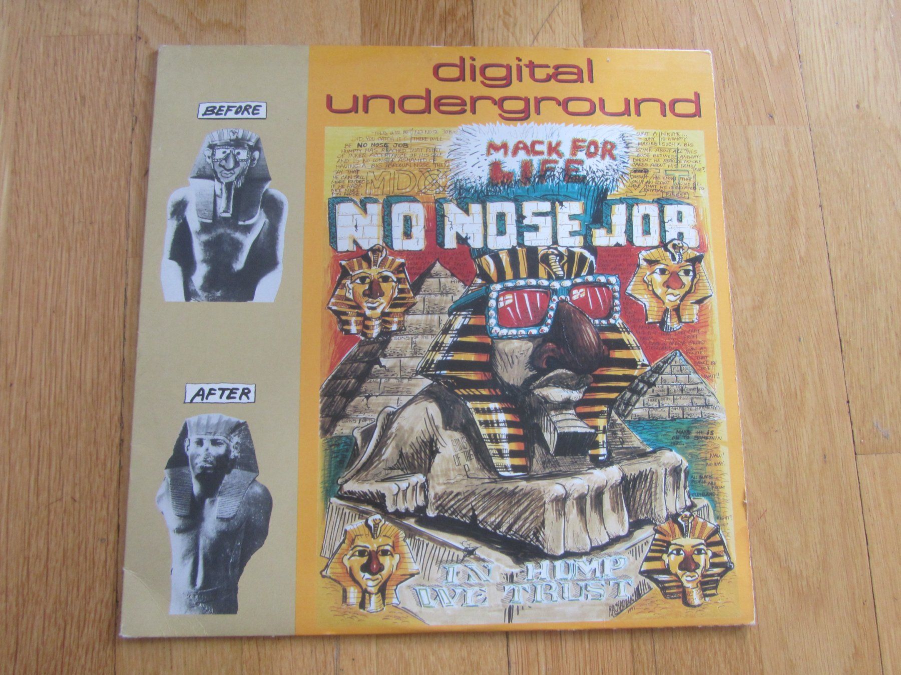 Dischi in vinile: Digital Underground - No Nose Job (12") – Usato da Seengen venduto da mikelele