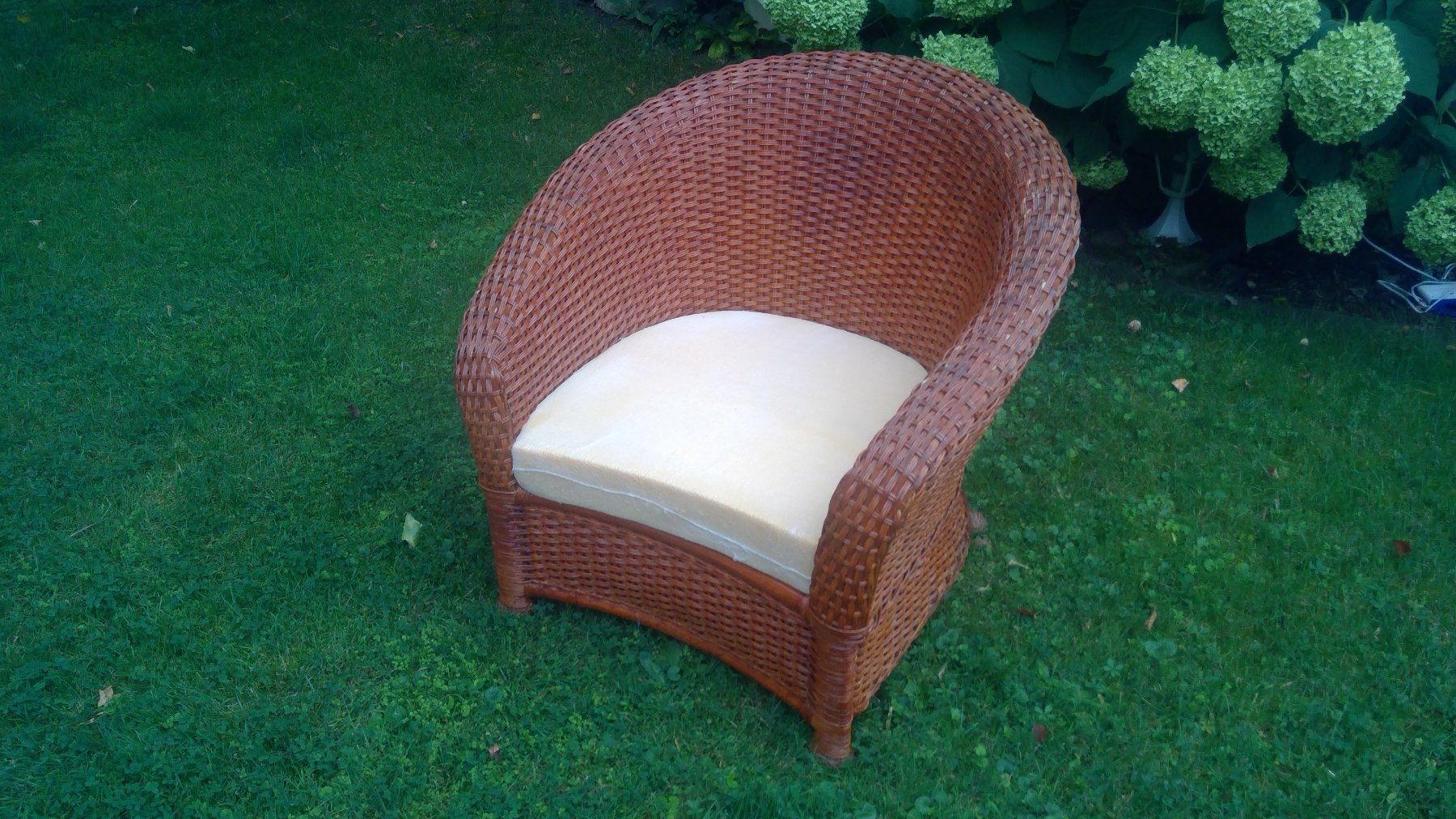 Sessel: Gemütlicher Rattan-Sessel mit Sitzpolster – Gebraucht aus Affoltern am Albis von Kimarei