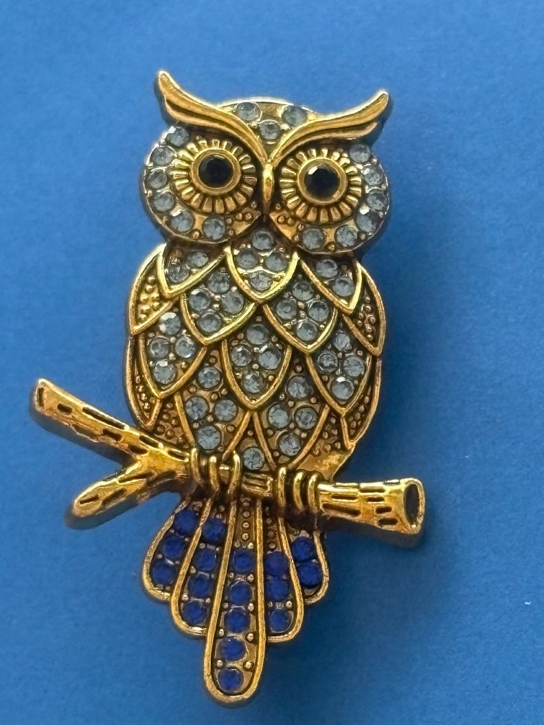 Broschen & Nadeln: Luxus Elegante  Brosche Farbe: Gold/ braun – Neu (gemäss Beschreibung) aus Biel-Bienne von Roserosse13