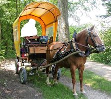 Leichter Einspänner mit Blinker und Beleuchtung