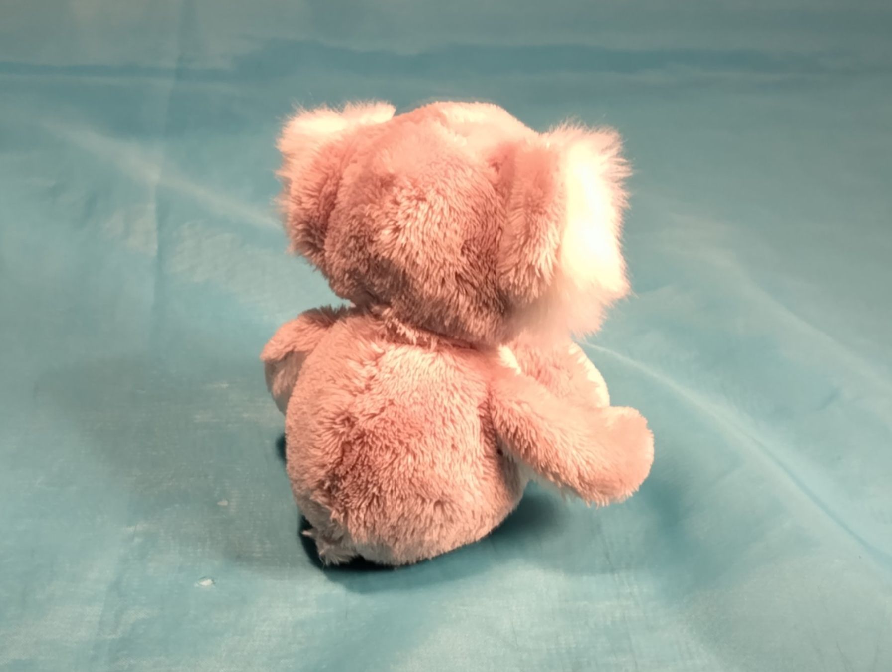 Nici Spielzeuge: NICI Koala, 15cm – Gebraucht aus Bellach von JingleCherry 1