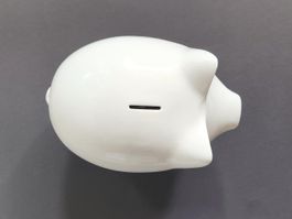 Sparschwein, gross