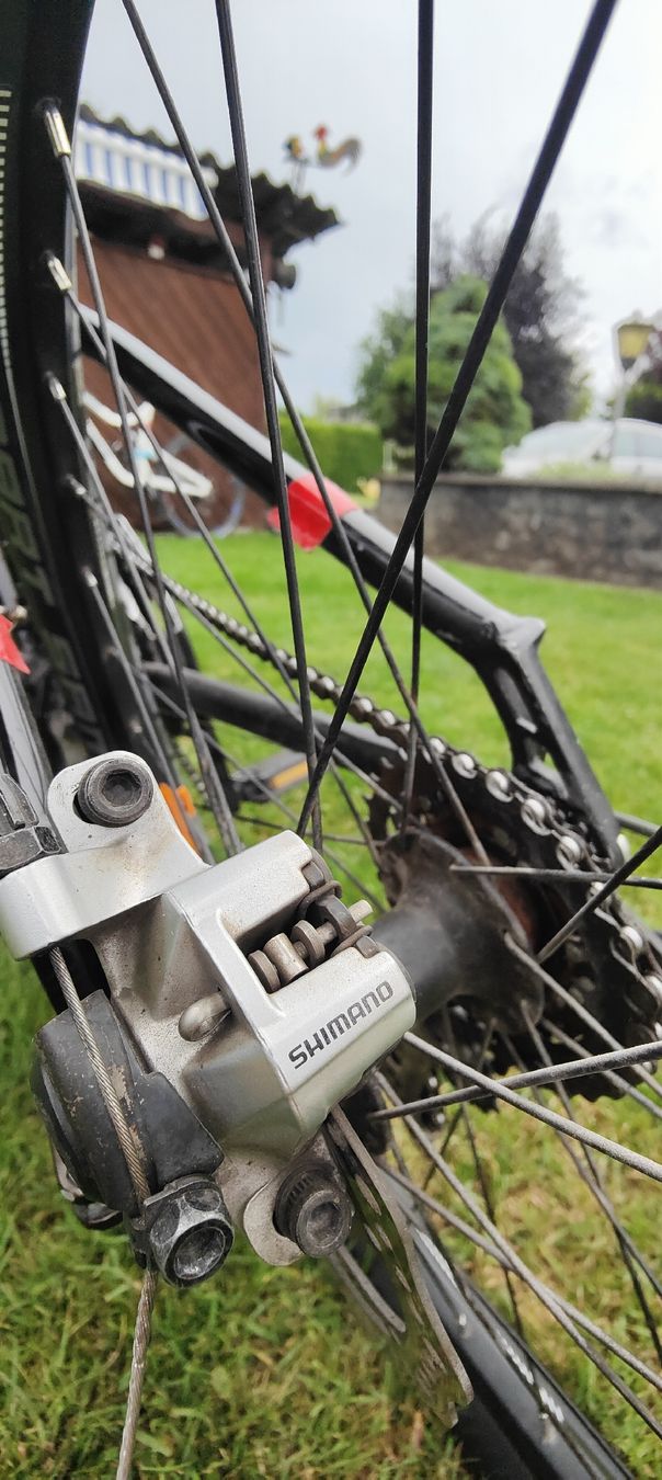 Biciclette: Bike 24 Zoll – Usato da Sins venduto da Sconza 1