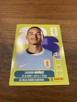 Panini Uru 17