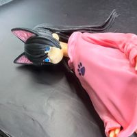Anime Cat Girl Hoodie Figur