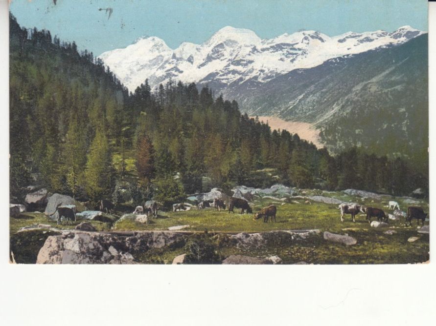 Ansichtskarten: Künstlerkarte Landschaft 1919 – Gebraucht aus Bürglen TG von StampGraf