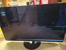 Panasonic 55" OLED TX-55HZC984 – Bildfehler, Netzteilfehler