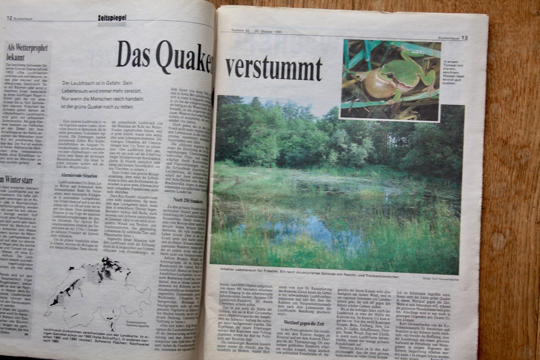 Riviste & Magazine: "Brückenbauer" Oktober 1983 – Nuovo (secondo la descrizione) da Altstätten SG venduto da alpalfa 1