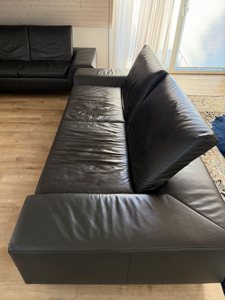 Sofas: Bullfrog Designersofa in Leder – Gebraucht aus Mauren von dej_j6f5 1
