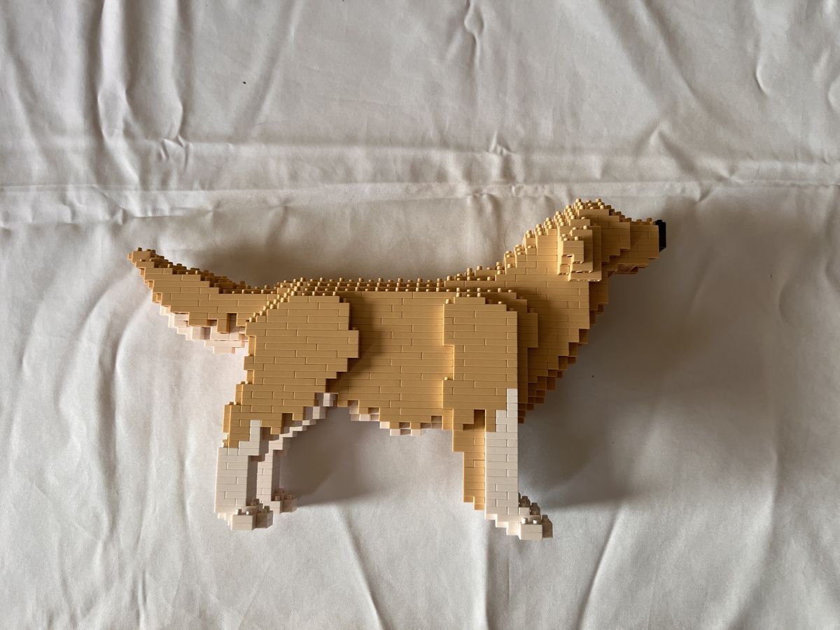 Kit di costruzioni: Golden Retriever Brickmo Bausatz – Usato da Richterswil venduto da tilodecooli 2