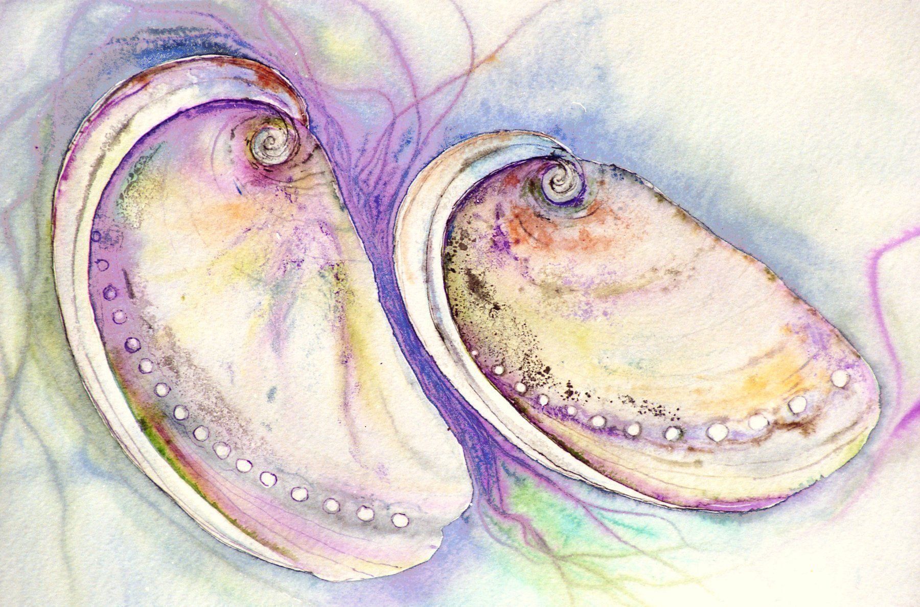 Dipinti: Aquarell Zwei Muscheln – Nuovo (secondo la descrizione) da Rietheim venduto da agnieszka1150