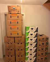 Bananenschachteln im 20er Set