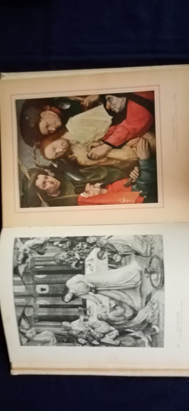 Libri: Bildband – Usato da Büsingen venduto da Flohminator 7