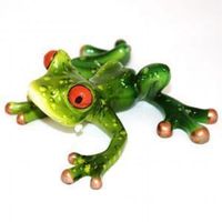 Grenouille prête à bondir