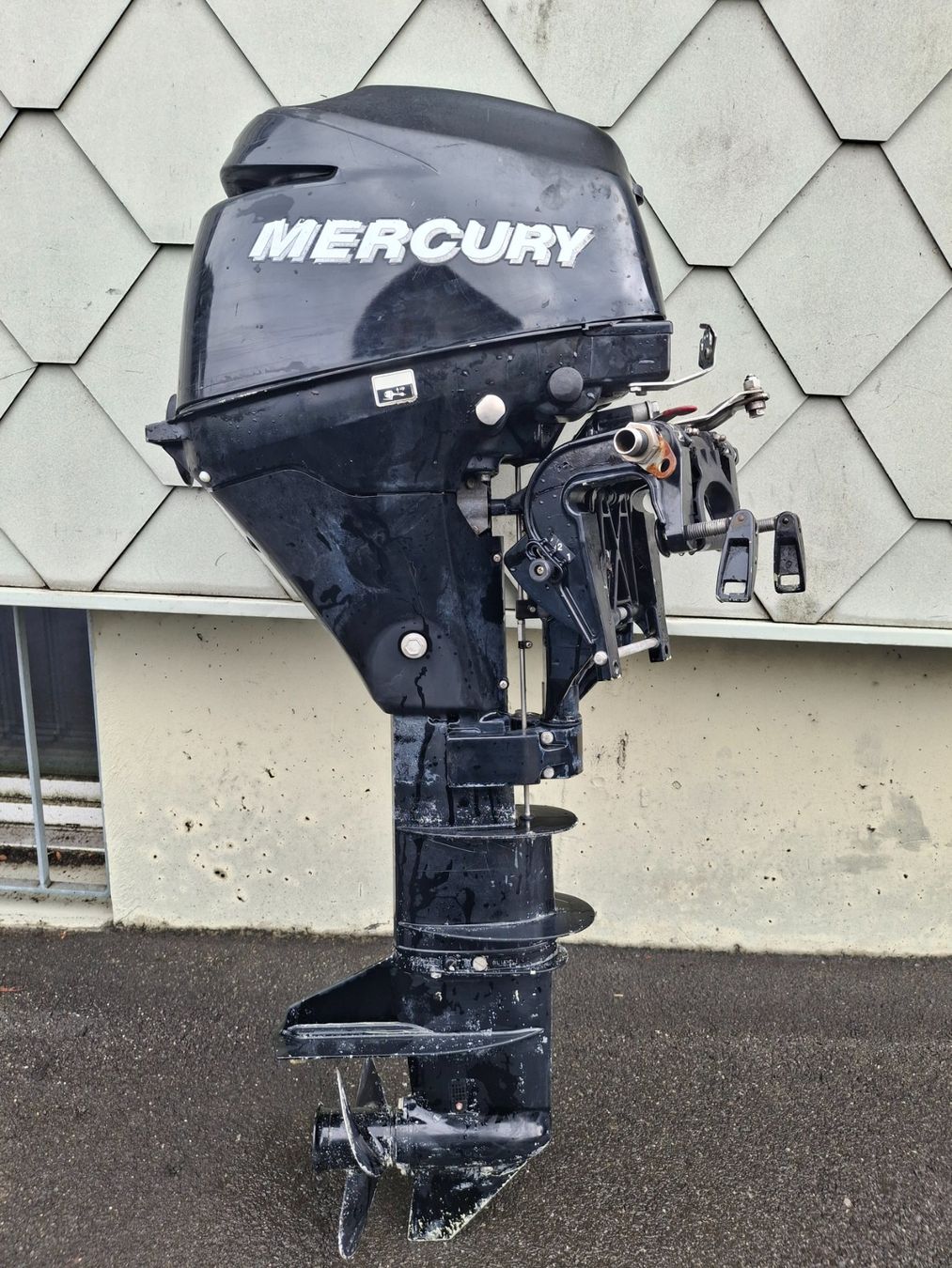 Mercury Motori: Occasion Aussenbordmotor – Usato da Oberwil im Simmental venduto da Seyagero