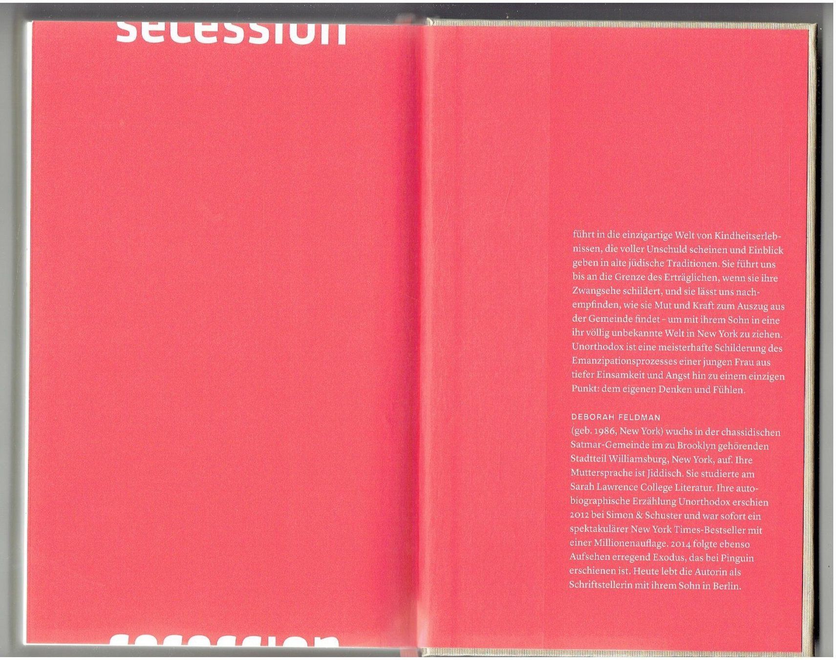 Livres: Debora Feldmann UNorthodox – Neuf (Voir description) à Flims - Dorf par Stagediver 3