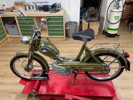 Sachs 503 Hercules