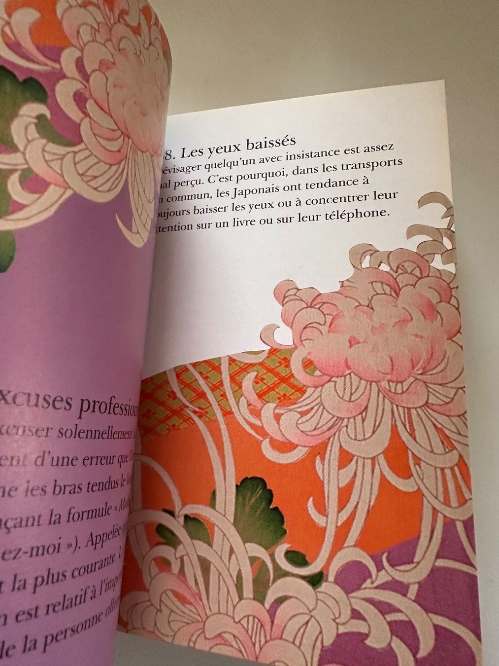 Libri: 365 us et coutumes Japon – Nuovo (secondo la descrizione) da Bouveret venduto da seb_rjx8 4