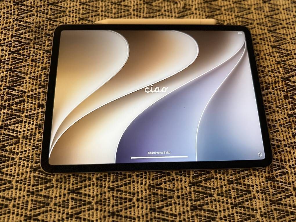 Tablet PC: iPad Pro M1 WiFi+5G – Usato da St. Gallen venduto da metee