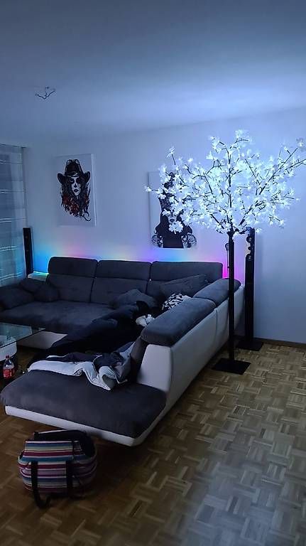 Alle Dekorationen: Leuchtbaum Indoor / Outdoor – Gebraucht aus Oeschgen von Adr_6kwk 2