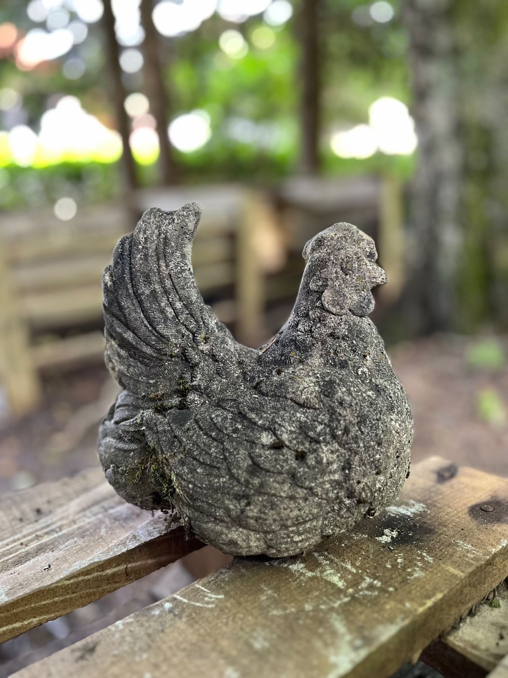 Statuette: Henne, Güggel, Figur, Garten-Dekoration – Usato da Oberentfelden venduto da Fabianbeboux