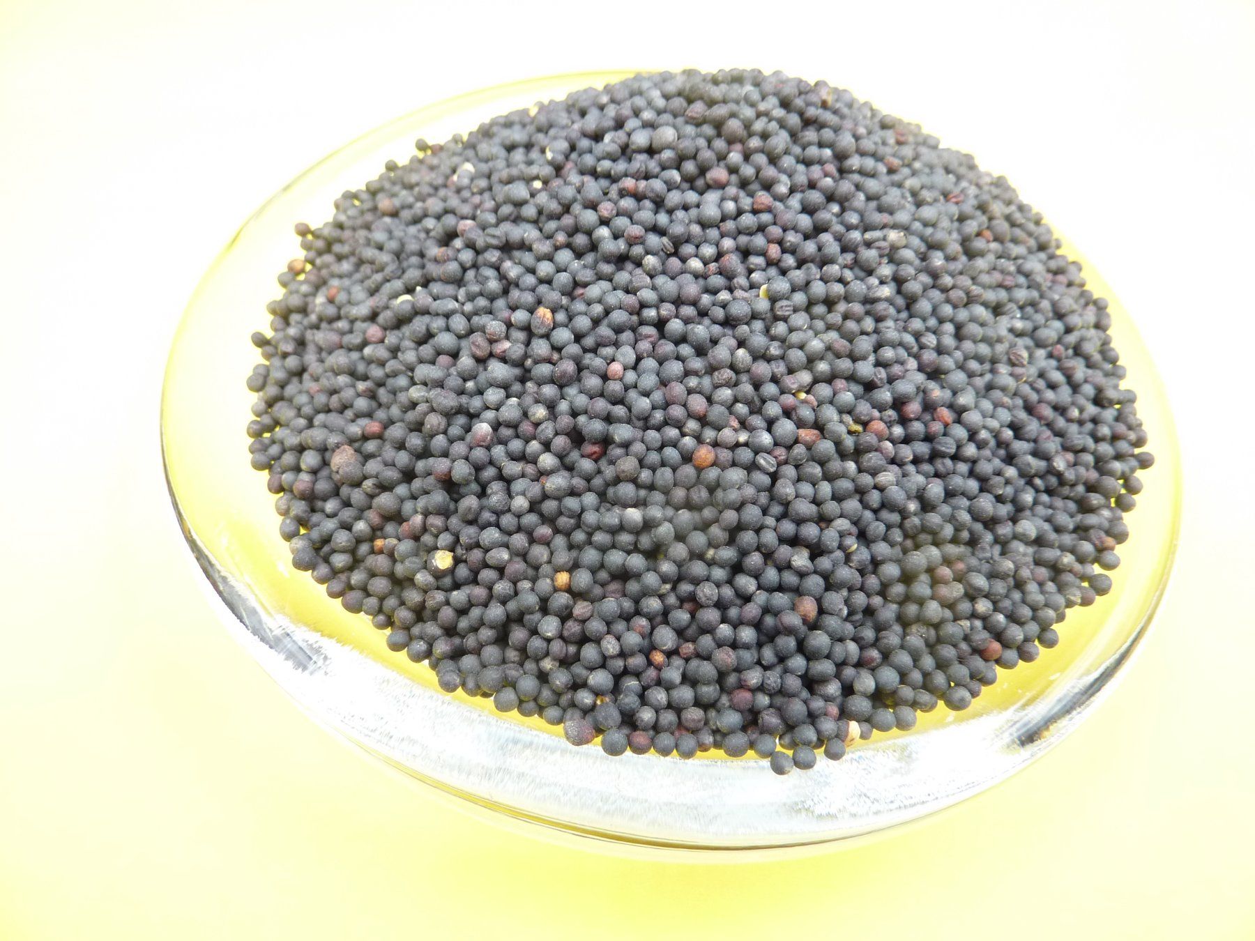 Piante & sementi: 1kg Rapssamen gereinigt – Nuovo e nell'imballaggio originale da Lömmenschwil venduto da ritalin01 2