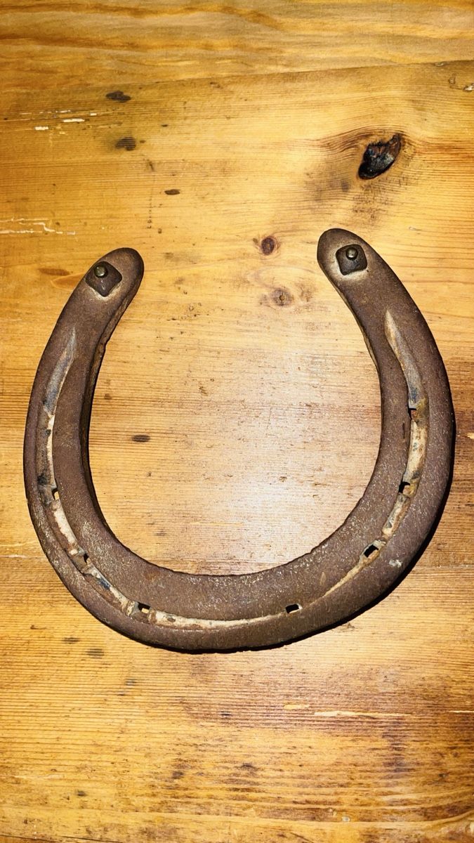 Altro in Accessori per animali: Glücksbringer Hufeisen - Rustikaler Deko-Schmuck – Usato da Schönenbuch venduto da hug_f2ny