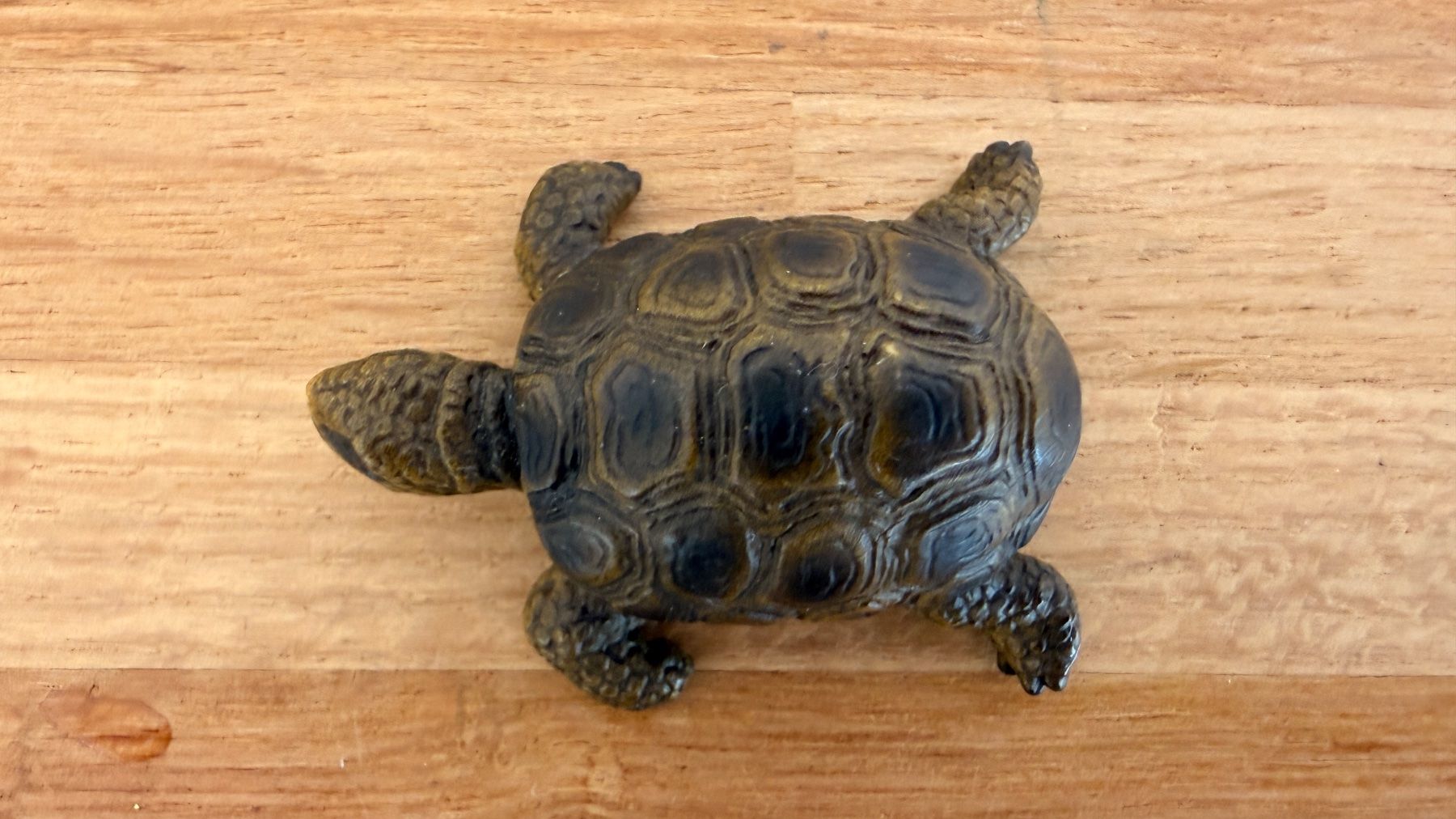 Schleich Giocattoli: SCHLEICH - Schildkröte 14404 – Usato da Winterthur venduto da Secondhand-Family 5