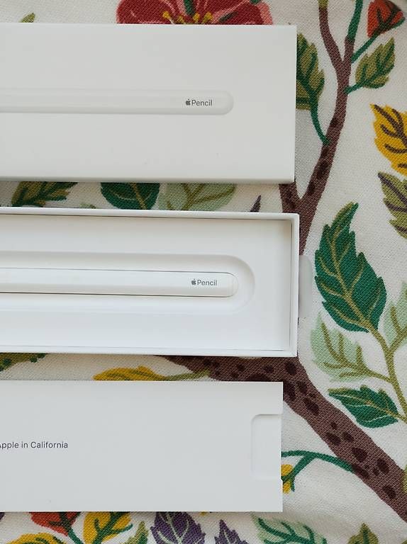 Penna & Evidenziatori: Apple Pencil 2. Gen – Usato da Vevey venduto da gianbrasa 1