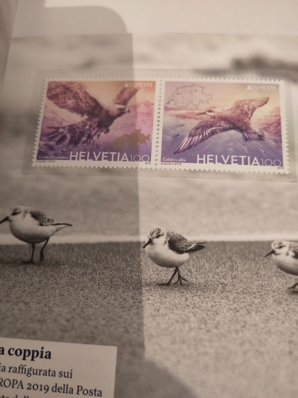 Tutti i francobolli: Schweizer Briefmarken 2019 gutes Exemplar ** – Nuovo (secondo la descrizione) da Höri venduto da Samsa9 9