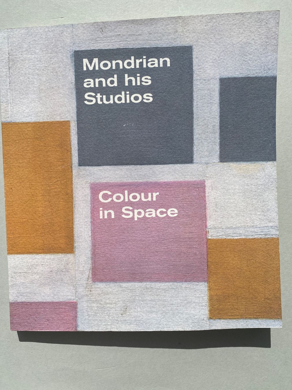 Libri: Mondrian and His Studios: Colour in Space Art Book. – Usato da Zürich venduto da lesgarcons 1