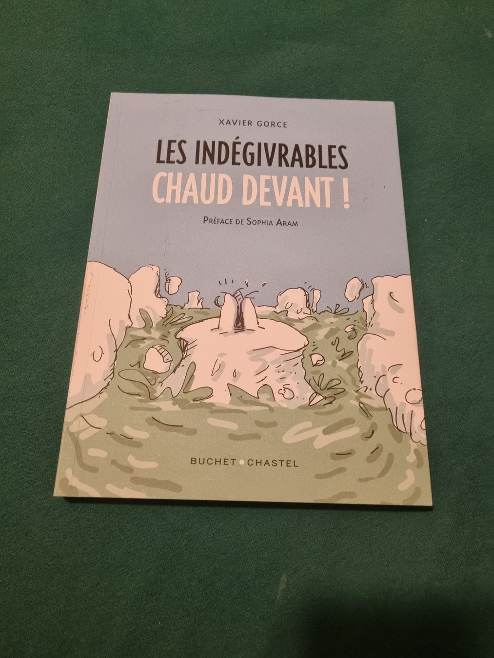Comics: Les Indégivrables Chaud Devant! Xavier Gorce, BD – Gebraucht aus Fribourg von sal_5ln6