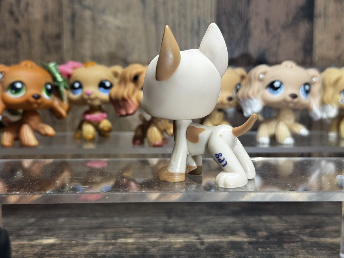 Hasbro Jouets: Littlest pet shop Great dane – D'occasion à Luzern par Maja.C 1