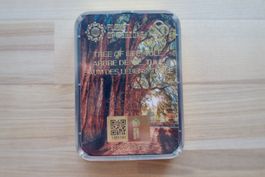 CEF de Koltsov "Arbre de vie. Tule" / Kolzov Platten
