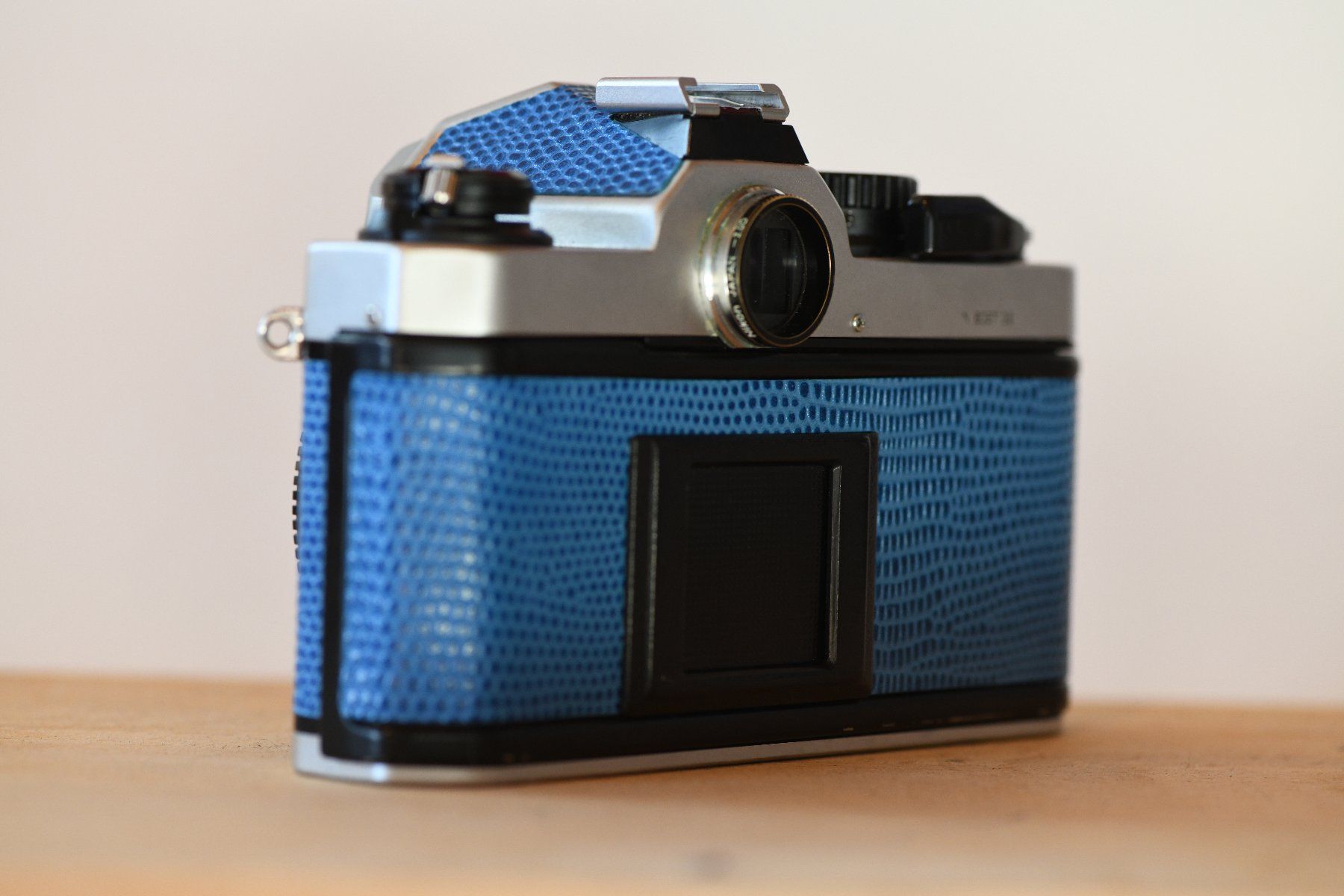 Nikon Appareil photo: Nikon FM 2 Blau – D'occasion à Rüthi (Rheintal) par Kunsttrifftdich 2