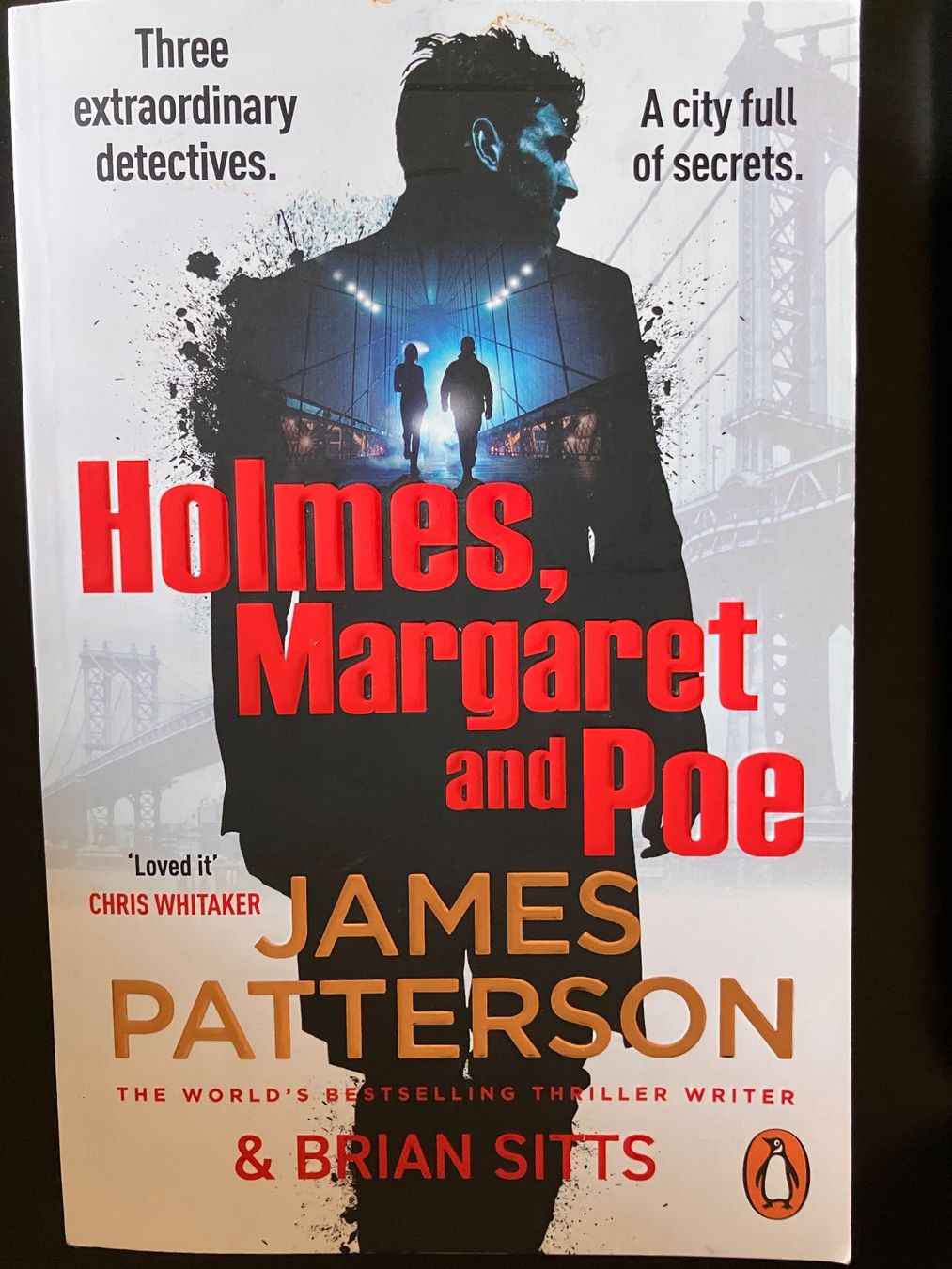 Libri: James Patterson, Holmes Margaret and Poe – Usato da Zürich venduto da amarelapreto