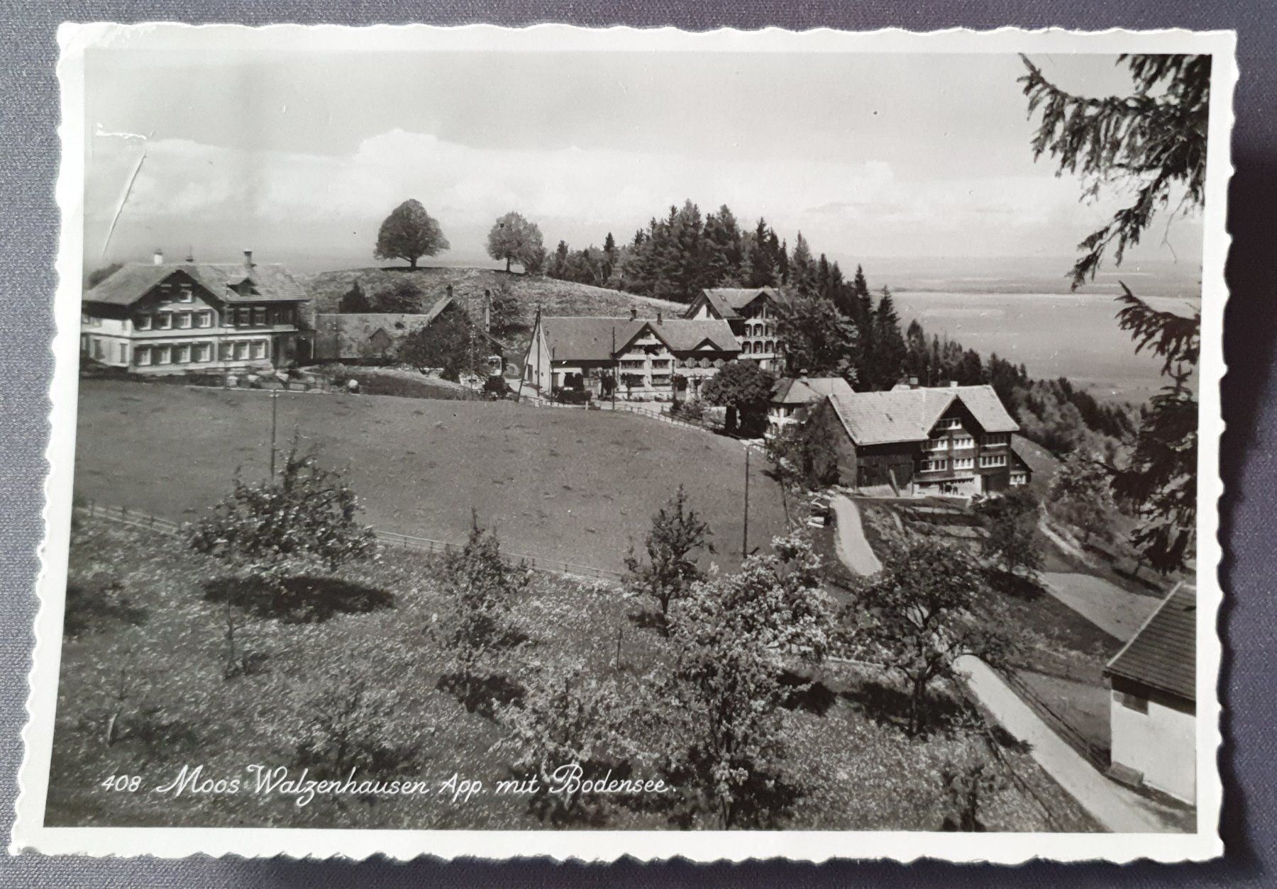 Cartoline postali: Moos - Walzenhausen 1947 – Usato da Kreuzlingen venduto da Rschweiz1