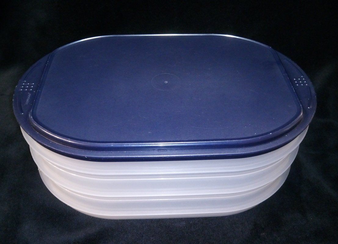 TUPPERWARE Traiteur Aufschnittbox in Blau stapelbar (Gebraucht) in Werdenberg für CHF 10 – mit Lieferung auf Ricardo kaufen