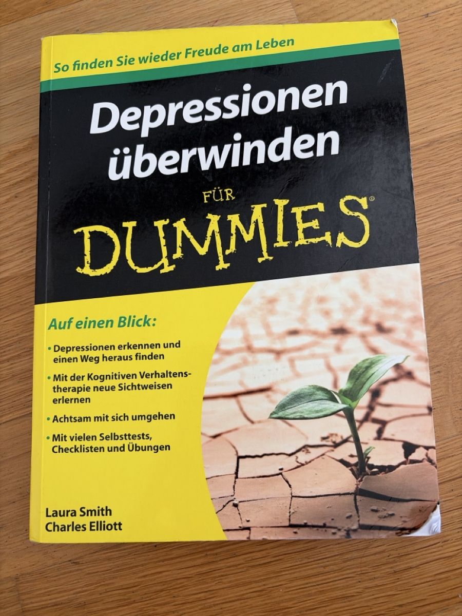 Bücher: Depressionen überwinden für Dummies – Gebraucht aus Burgdorf von fio_5lrv