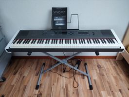 Klavier Digital Piano Dexibell P7 inkl.Tragtasche+X-Ständer