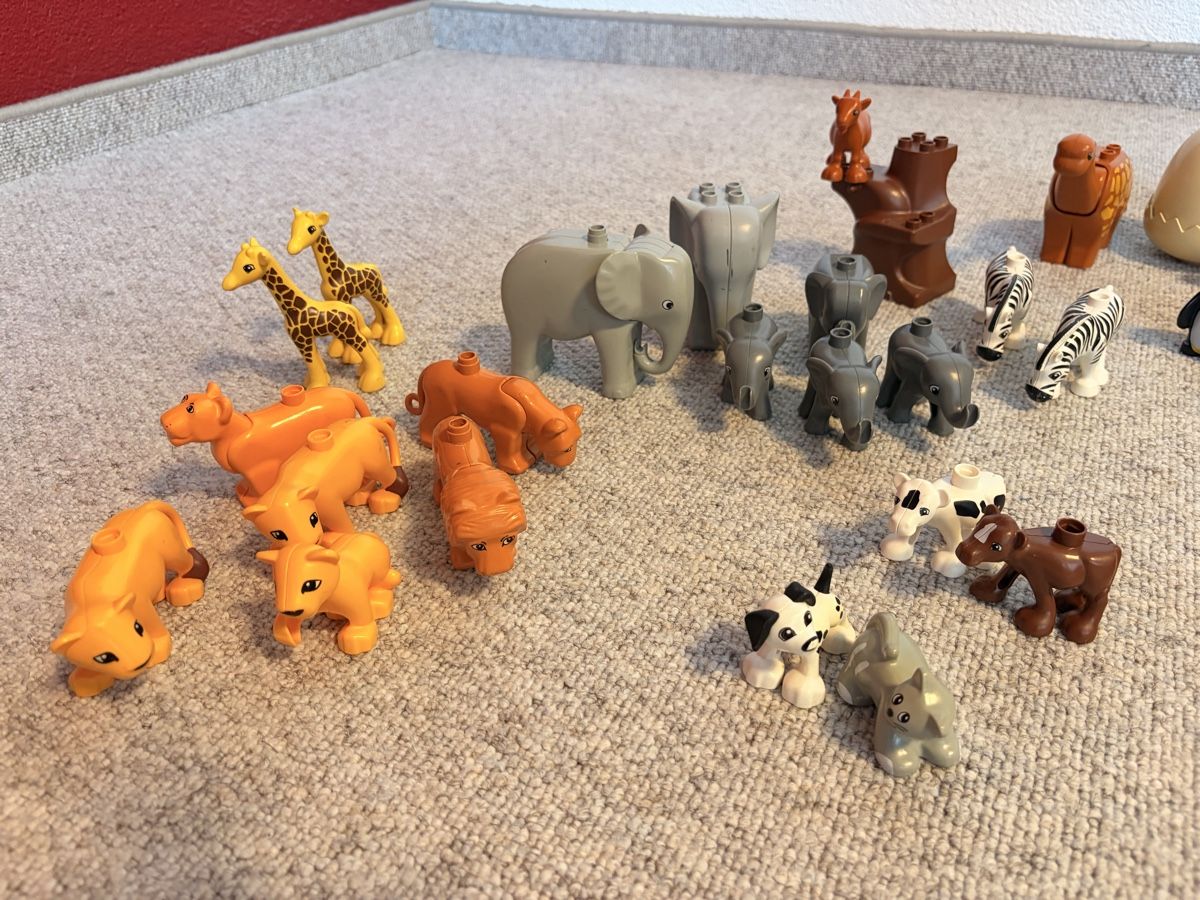 Lego Spielzeuge: LEGO DUPLO Tiere/ Einzelteile  – Gebraucht aus Istighofen von sax_p65z 3