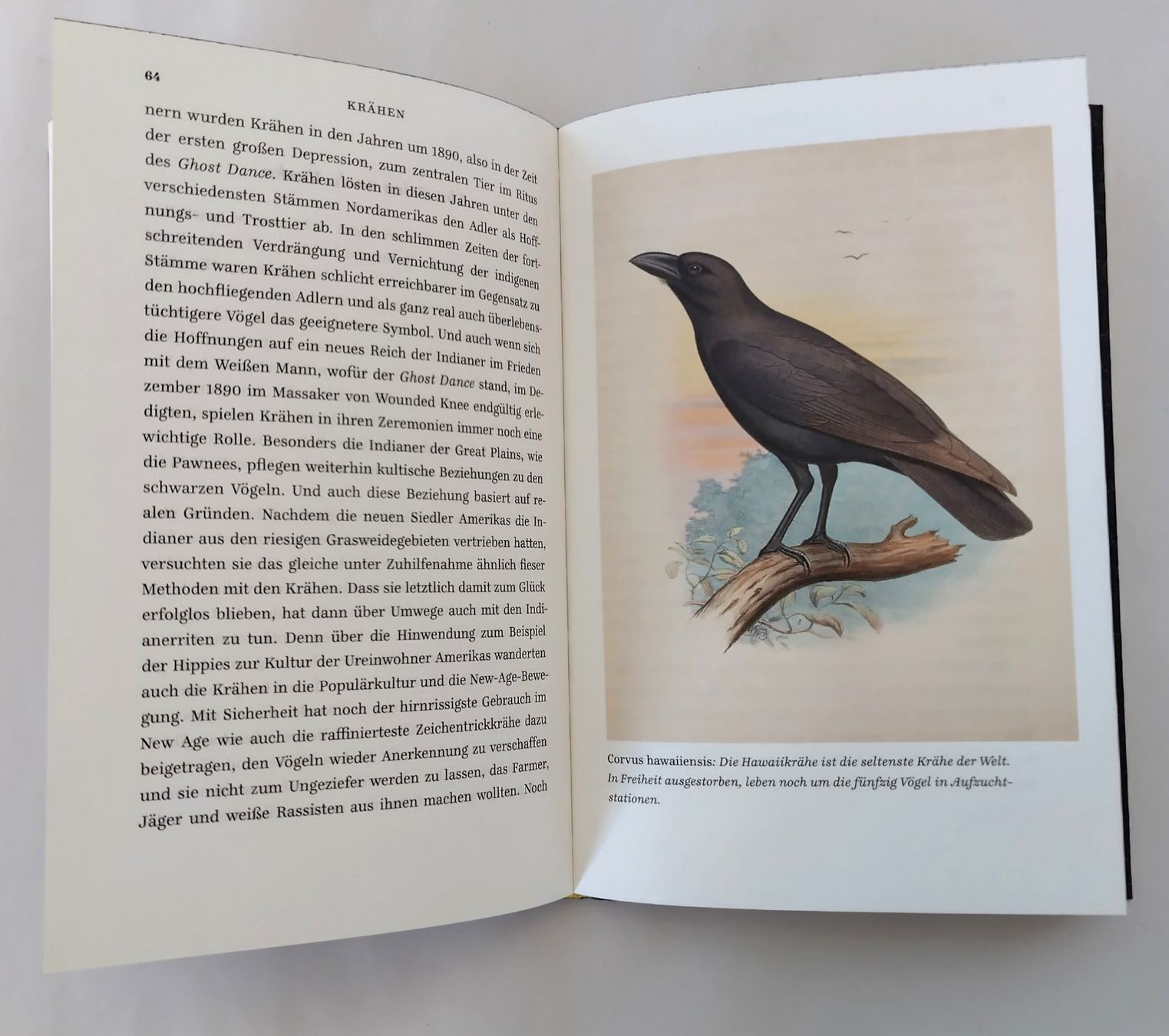 Libri: Krâhen - Ein Portrait / Vogel Buch 2013 mit 156 Seiten – Usato da Bellach venduto da JingleJerry 6