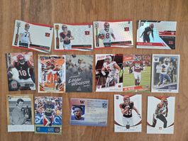 15 NFL Trading Cards der Cincinnati Bengals