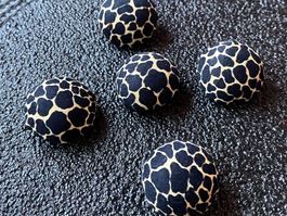 Schöne Tigerli Leopard Stoffknöpfe*Mix*