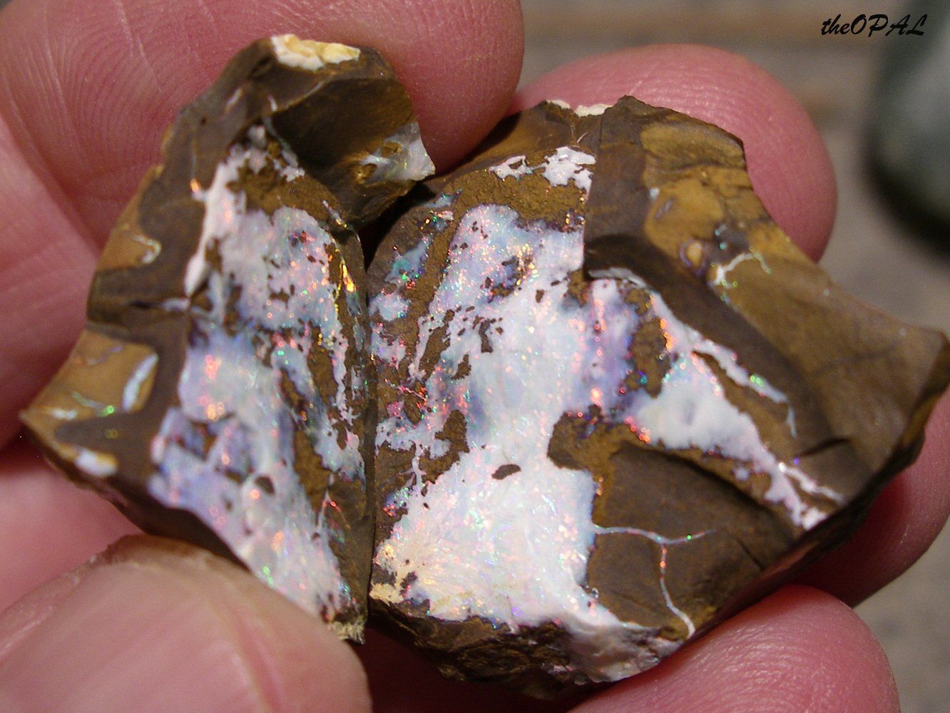 Pierres précieuses: theOPAL *** ROHER BOULDER OPAL SPLIT 95,67ct *** – Neuf avec emballage d'origine à Ebnat-Kappel par theOPAL 6